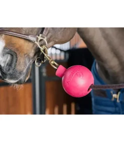 Balle de protection d'attache - Kentucky