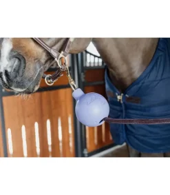 Balle de protection d'attache - Kentucky