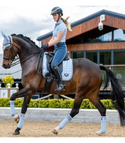 Bandages de polo Loire - LeMieux