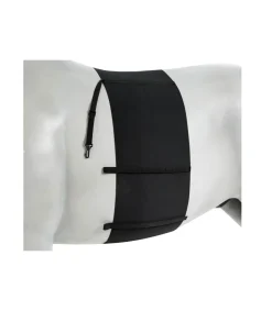 Bande de respect de chez Horze