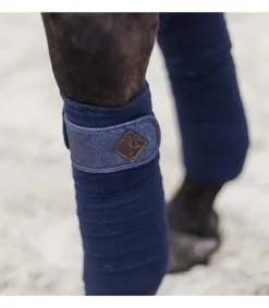 Bandes polaires Glitter - Kentucky