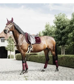 Bandes polaires New Style - Kentucky