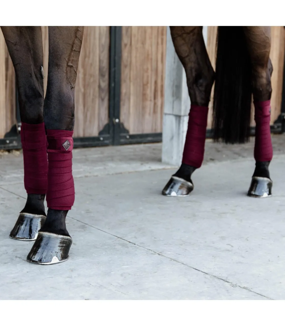 Bandes polaires Velvet - Bordeaux - Kentucky