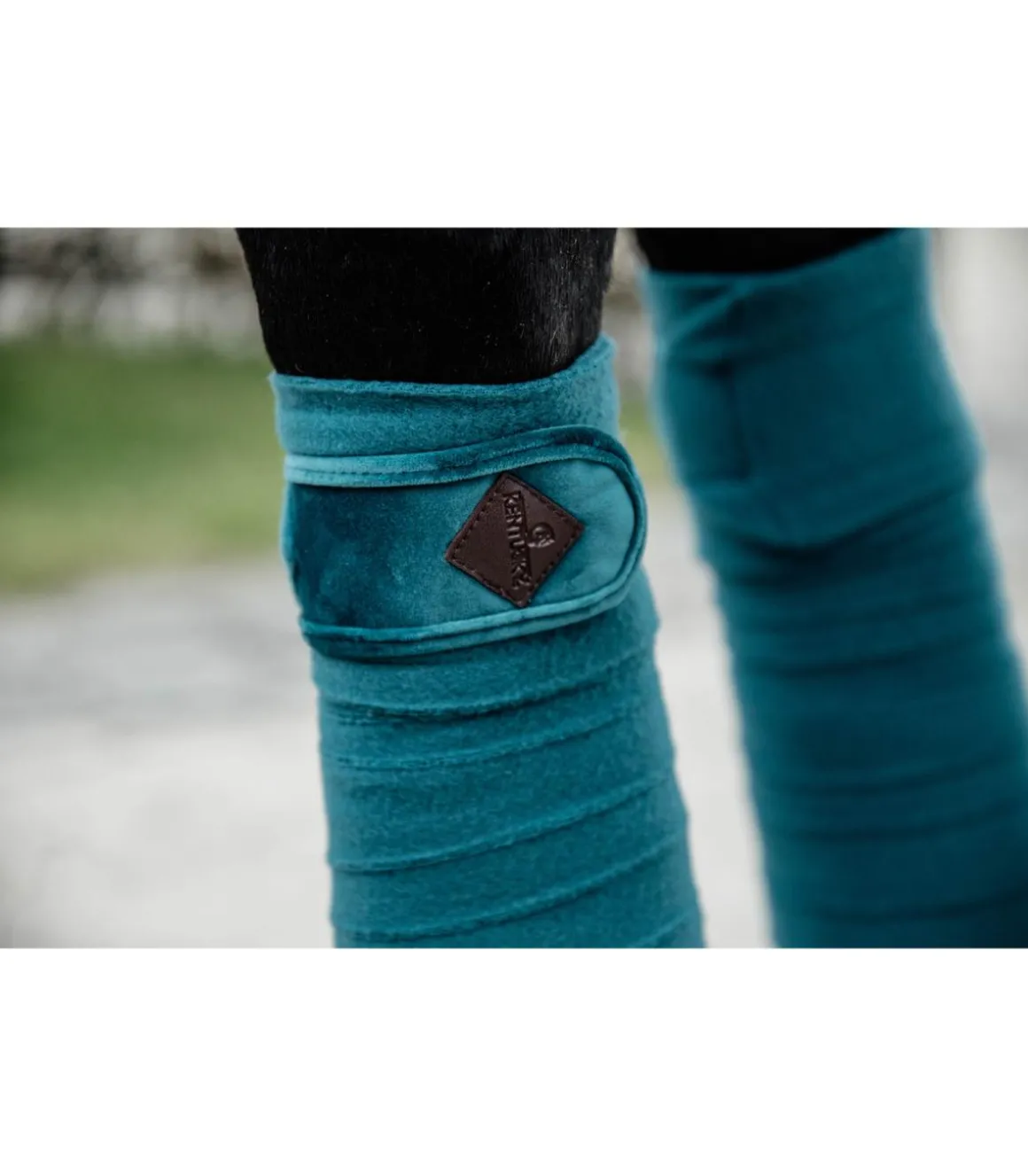 Bandes polaires Velvet - Émeraude - Kentucky