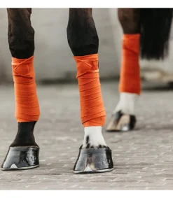 Bandes polaires Velvet - Orange - Kentucky
