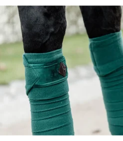 Bandes polaires Velvet - Vert - Kentucky