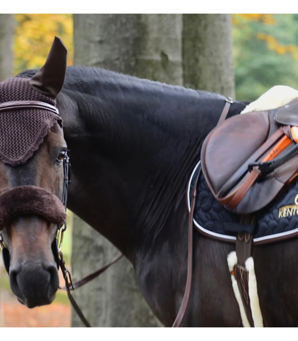 Bonnet anti-mouches - Kentucky