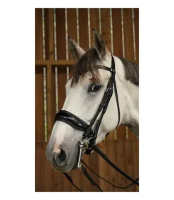 Bride avec muserolle large vernie noir Working Collection - Dy'on