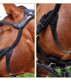 Bridon 2500 Freedom - Stübben