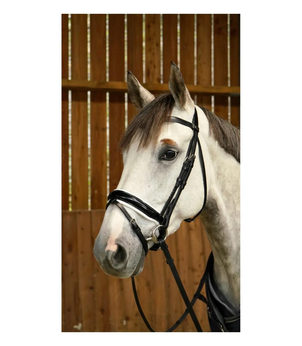 Bridon avec double muserolle large vernie blanc Working Collection - Dy'on