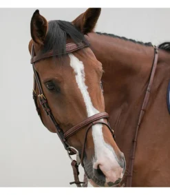 Bridon classique – confort et stabilité pour chevaux calmes