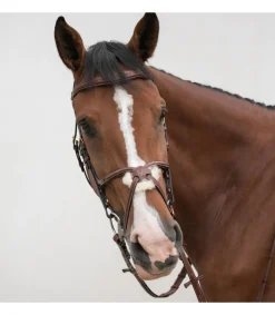 Bridon crossline avec muserolle mexicaine - HVN