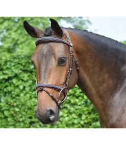 Bridon Crystal de la Collection Week - Jump'In