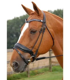 Bridon dressage muserolle combinée large Dy'on