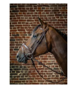 Bridon Dy'on collection muserolle et frontal anatomique