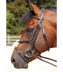 Bridon Dy'on working collection muserolle mexicaine