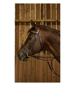 Bridon Dy'on working collection muserolle combinée fancy