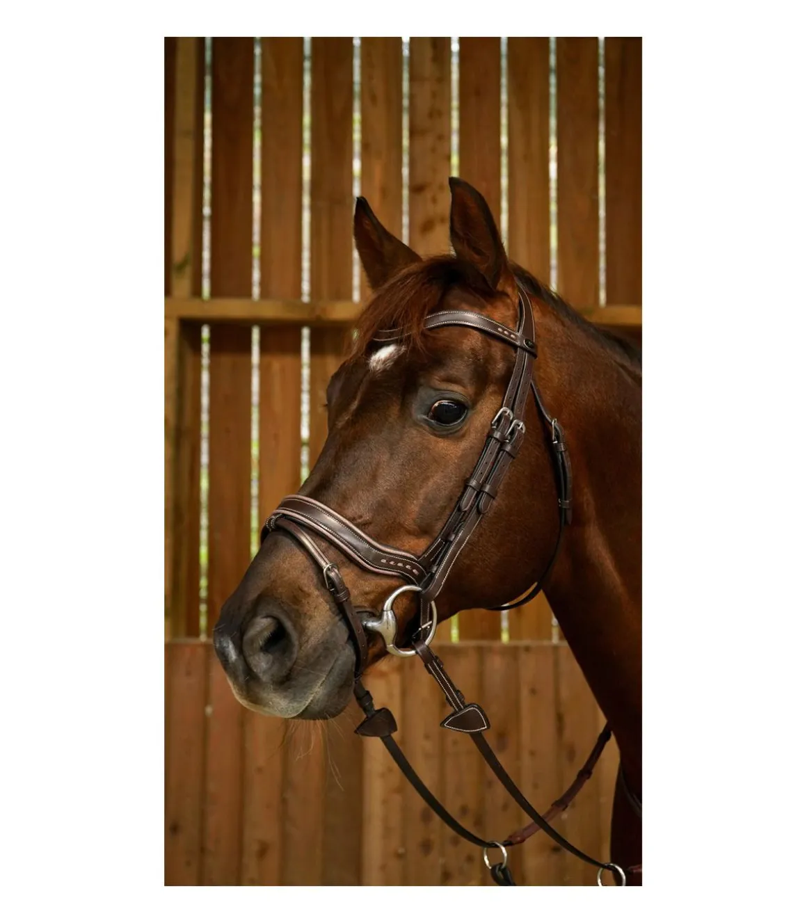 Bridon Fit de la Working Collection - Dy'on