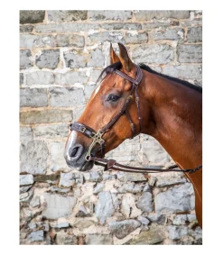 Bridon pour hackamore Dy'on