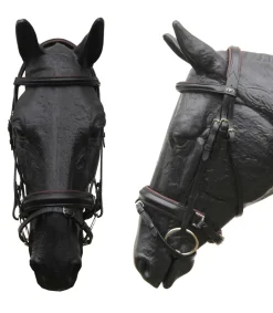 Bridon Quentin JMR avec muserolle croisée pull-back