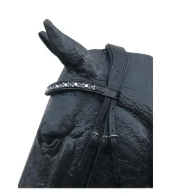 Bridon Rebelle avec muserolle combinée large et vernie - Jmr Pro