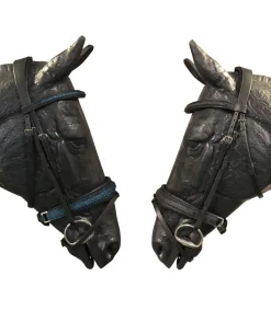 Bridon Shiny avec frontal et muserolle en crystal fabric - JMR PRO