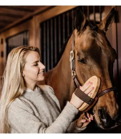 Brosse douce à poils très doux - Kentucky