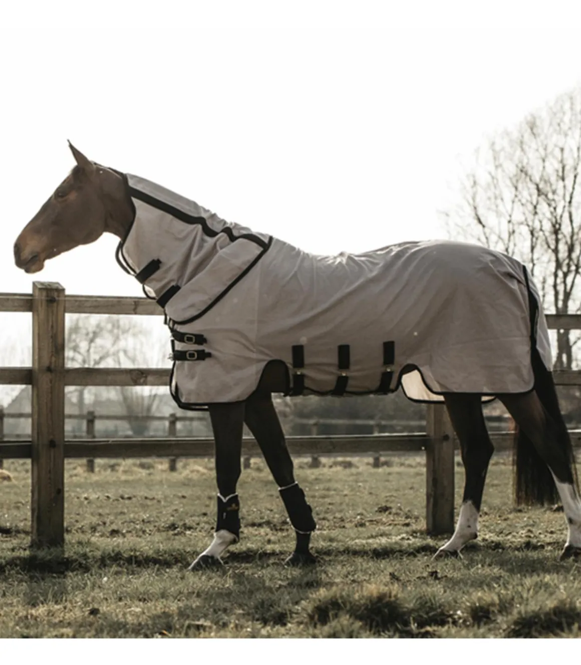 Chemise anti-mouches intégrale - Kentucky