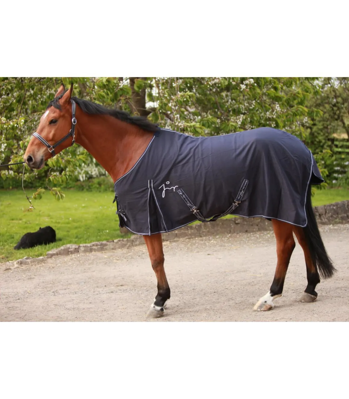 chemise en coton de chez JMRPRO