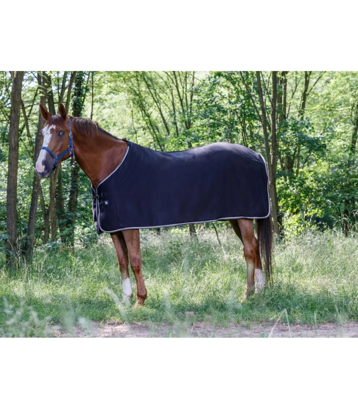 Chemise polaire RIDING WORLD - Basique