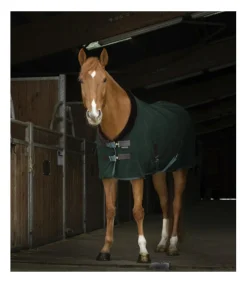 Chemise polaire Teddy - Equi-Thème