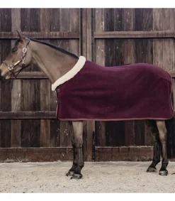 Chemise séchante Show Heavy - Kentucky