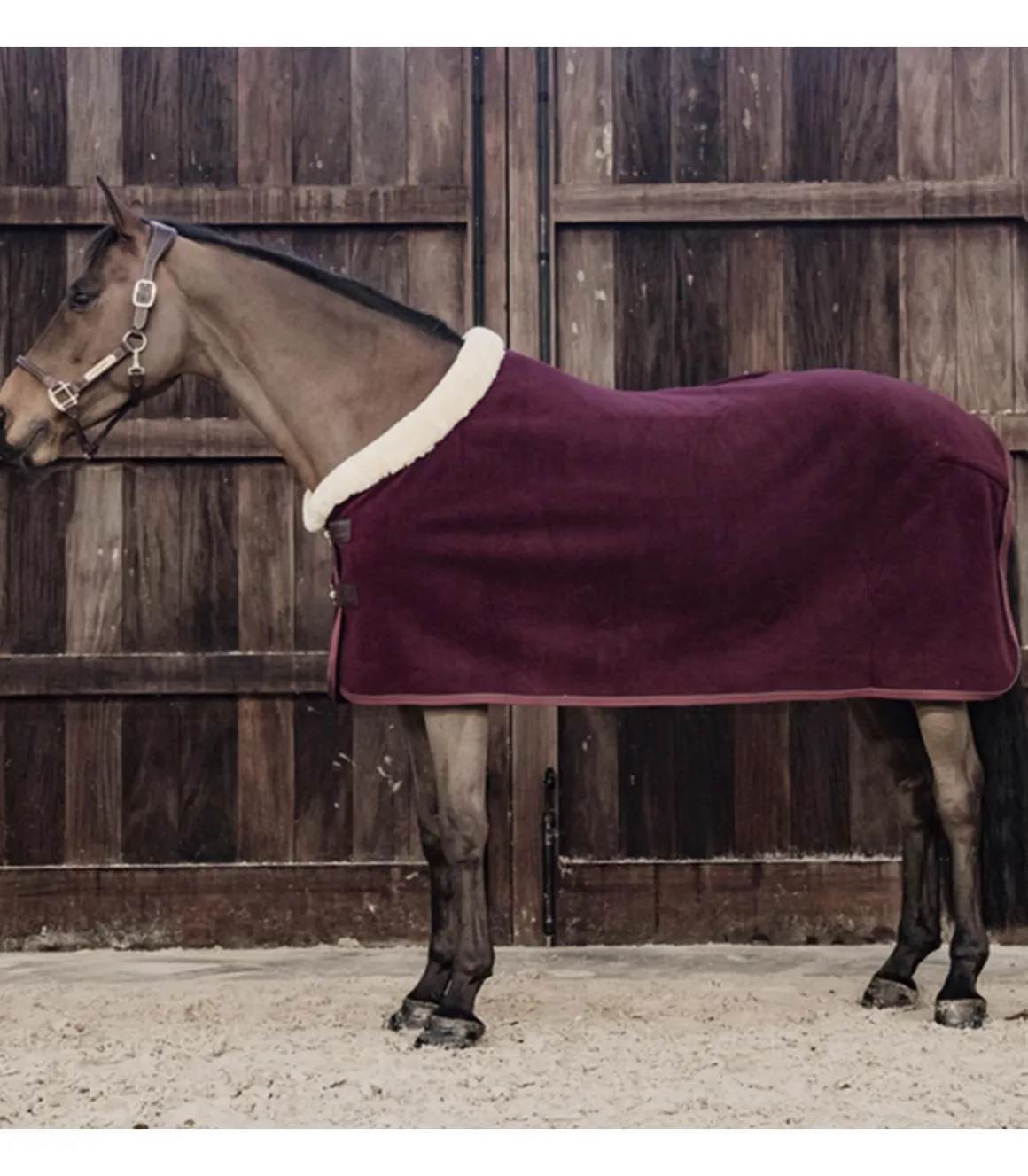 Chemise séchante Show Heavy - Kentucky