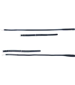 Collier et laisse en cuir pour chien JMR PRO