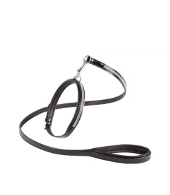 Collier et laisse pour chien Crystallized - Jaipur's Choice