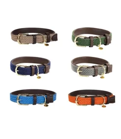 Collier pour chien en nylon tressé - Kentucky