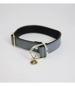 Collier pour chien Loop - Kentucky