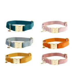 Collier pour chien Velvet - Kentucky