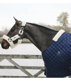 Couverture d'écurie 400gr - Kentucky