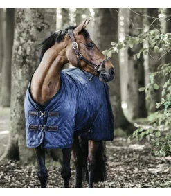 Couverture d'écurie 0gr - Kentucky