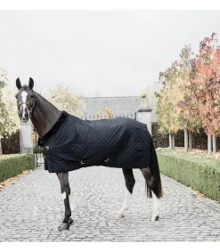 Couverture d'écurie 0gr - Kentucky