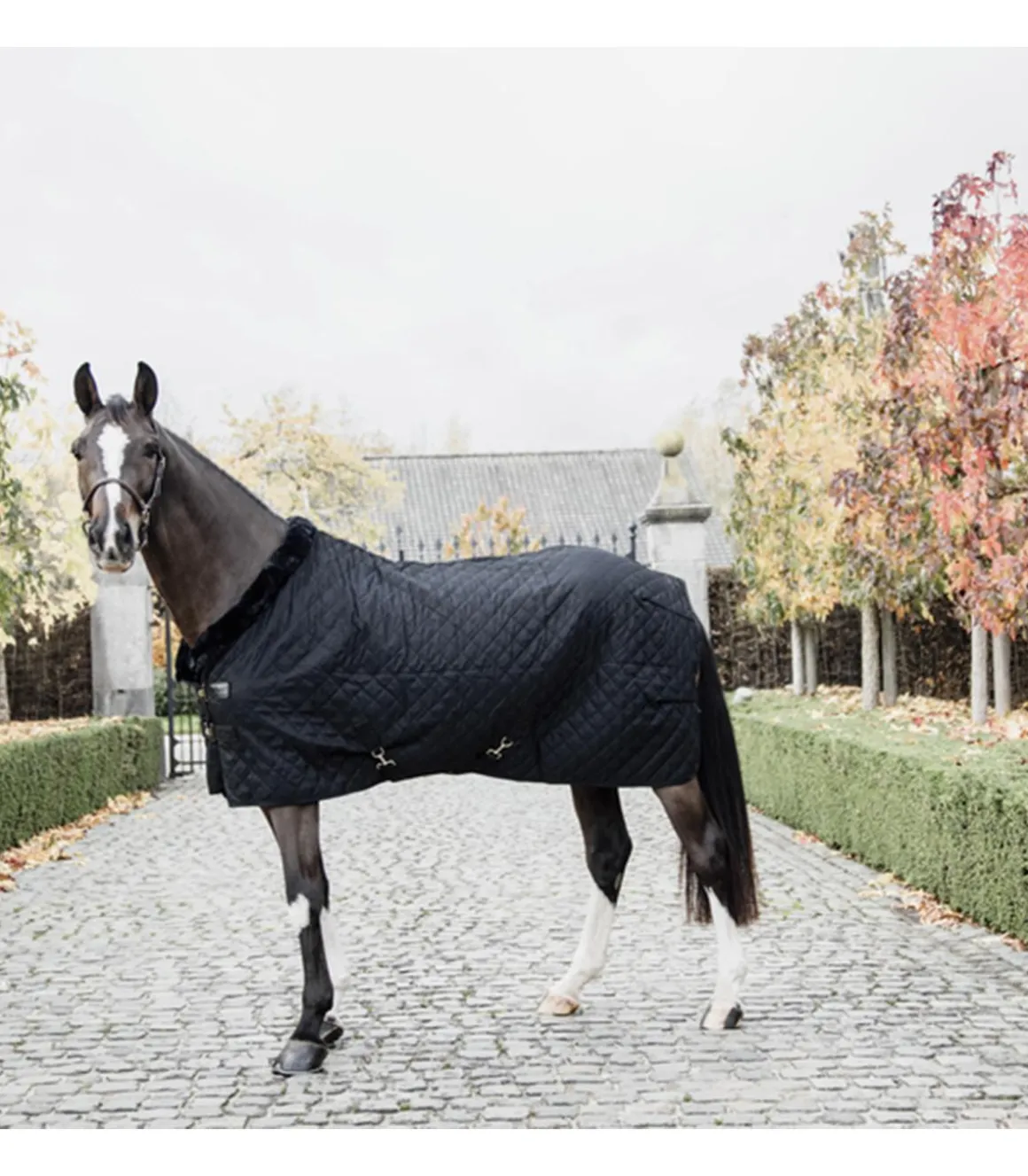 Couverture d'écurie 0gr - Kentucky