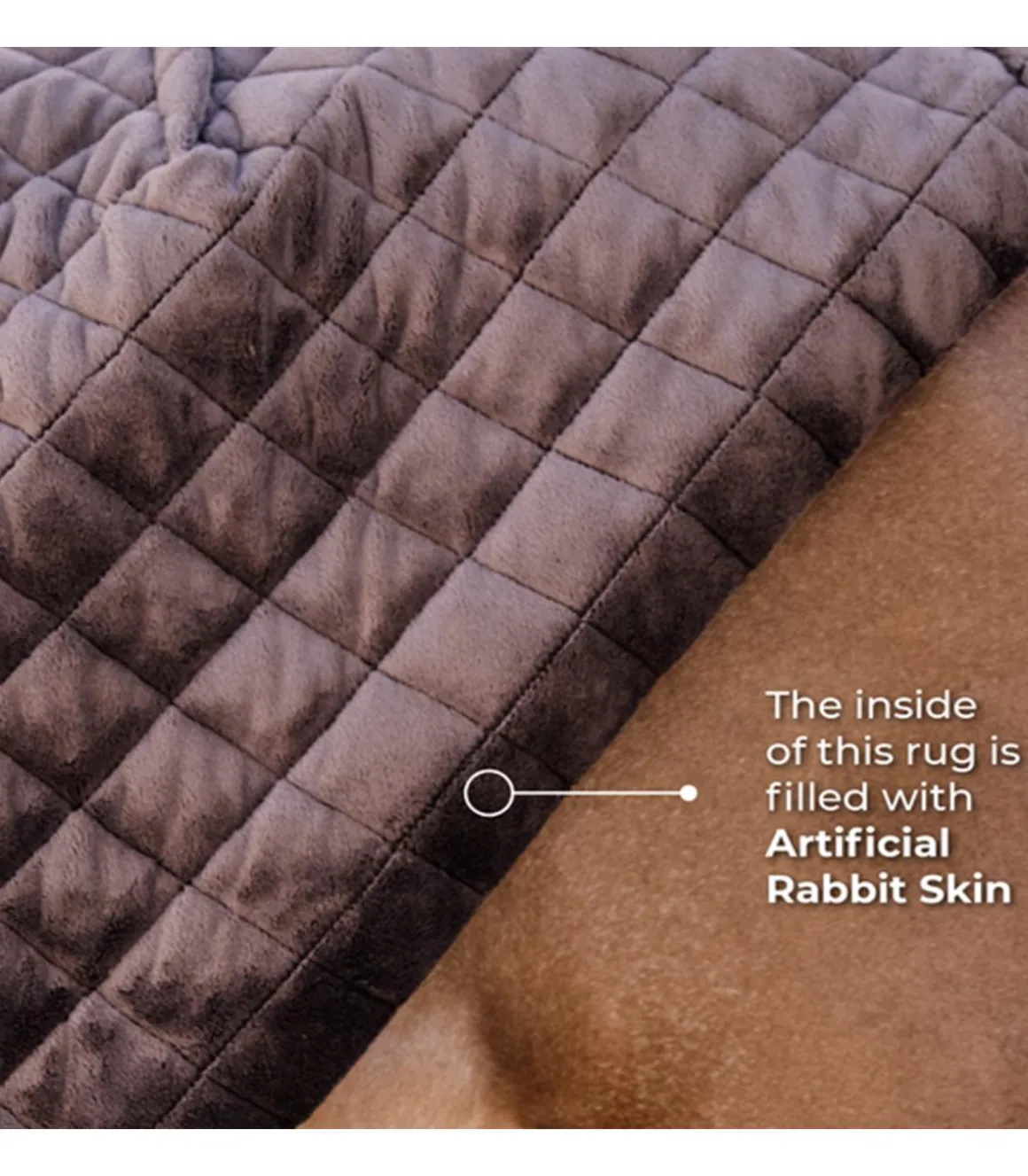 Couverture d'écurie 0gr - Kentucky