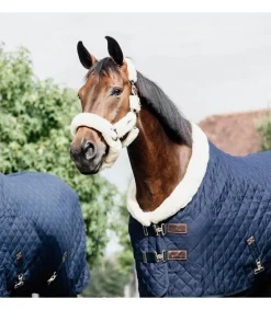 Couverture de présentation 160gr - Kentucky