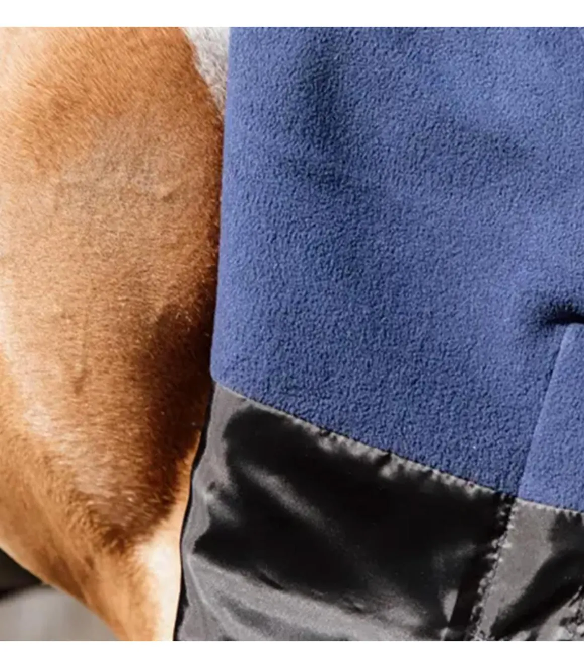 Couverture imperméable All Weather Quick Dry Fleece 150gr avec encolure - Kentucky