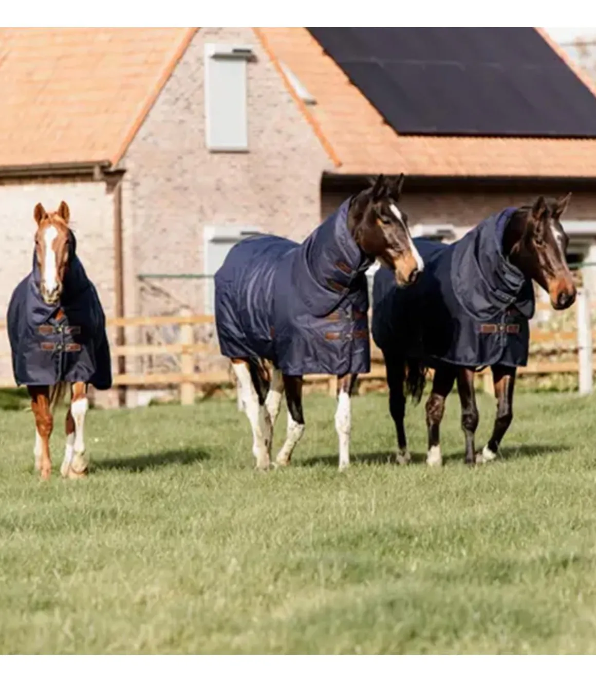 Couverture imperméable All Weather Quick Dry Fleece 0gr avec encolure - Kentucky