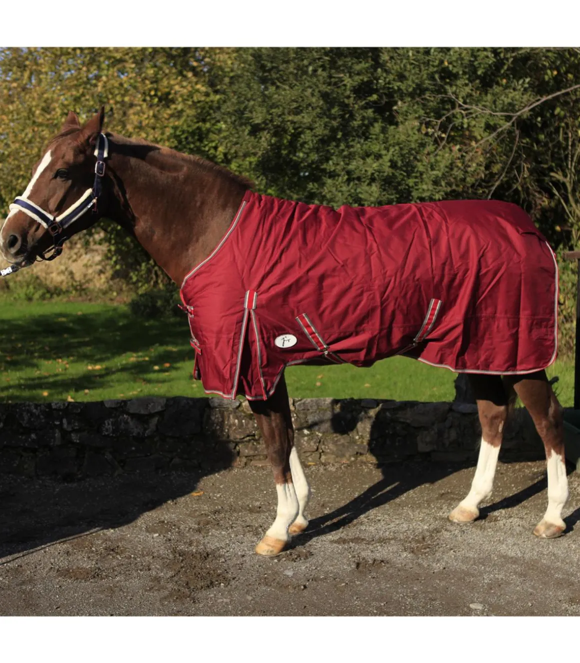 Couverture imperméable et repsirante shetland 600 D 200 Gr bordeaux - JMR