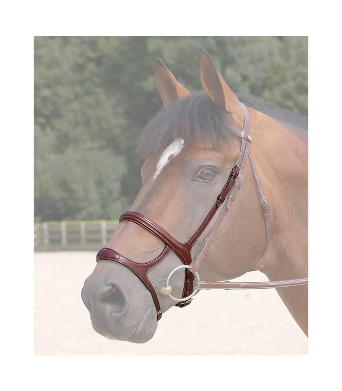 Double muserolle pour la Dy'on collection