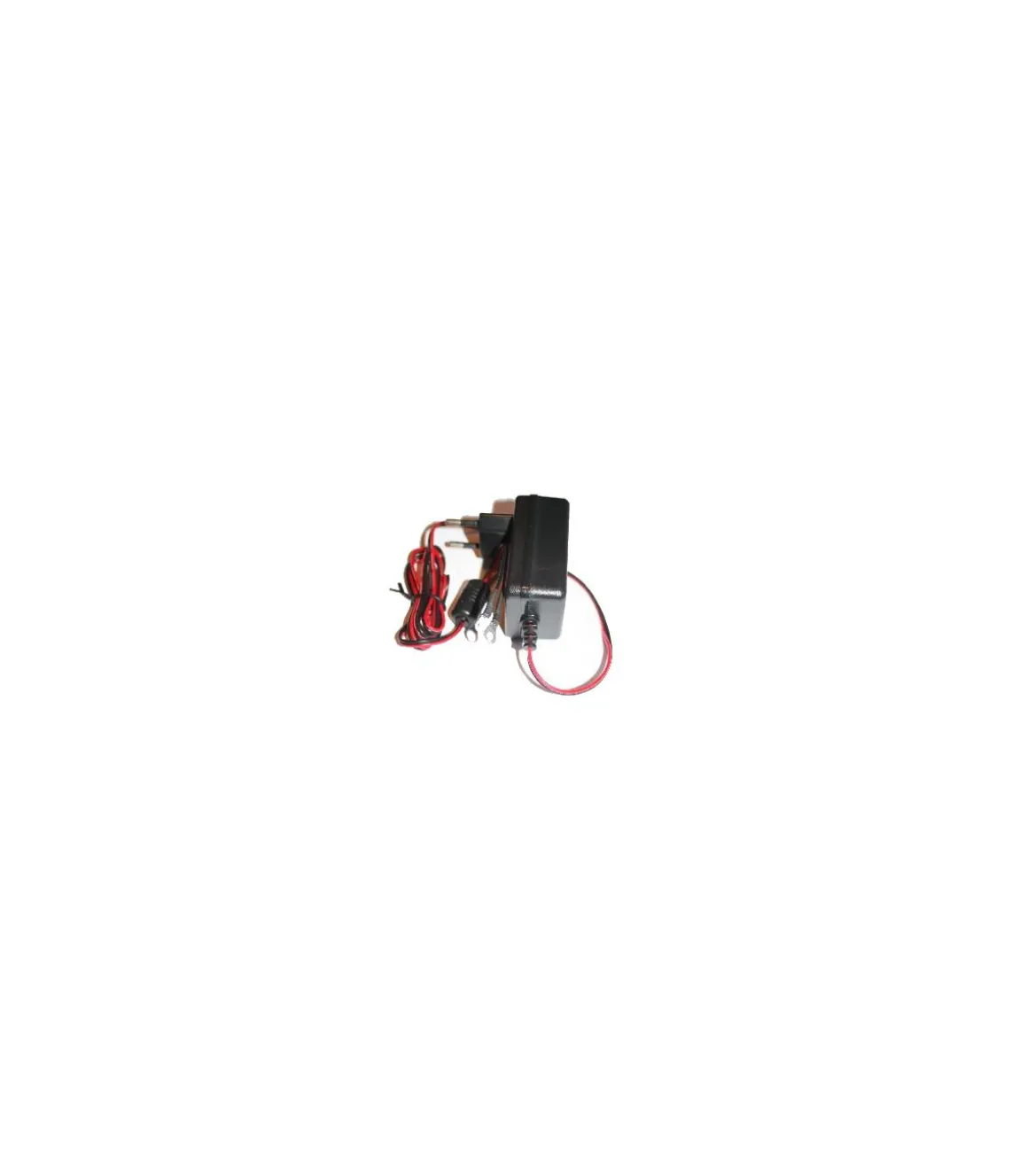 Electrificateur Dual secteur - accu D4