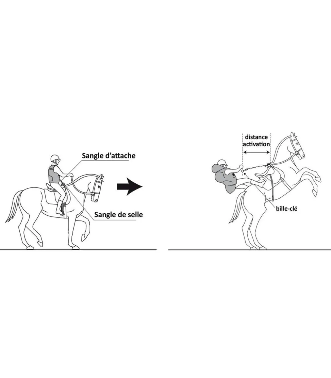 Gilet airbag complet 3 de chez Hit-air + 1 cartouche GRATUITE